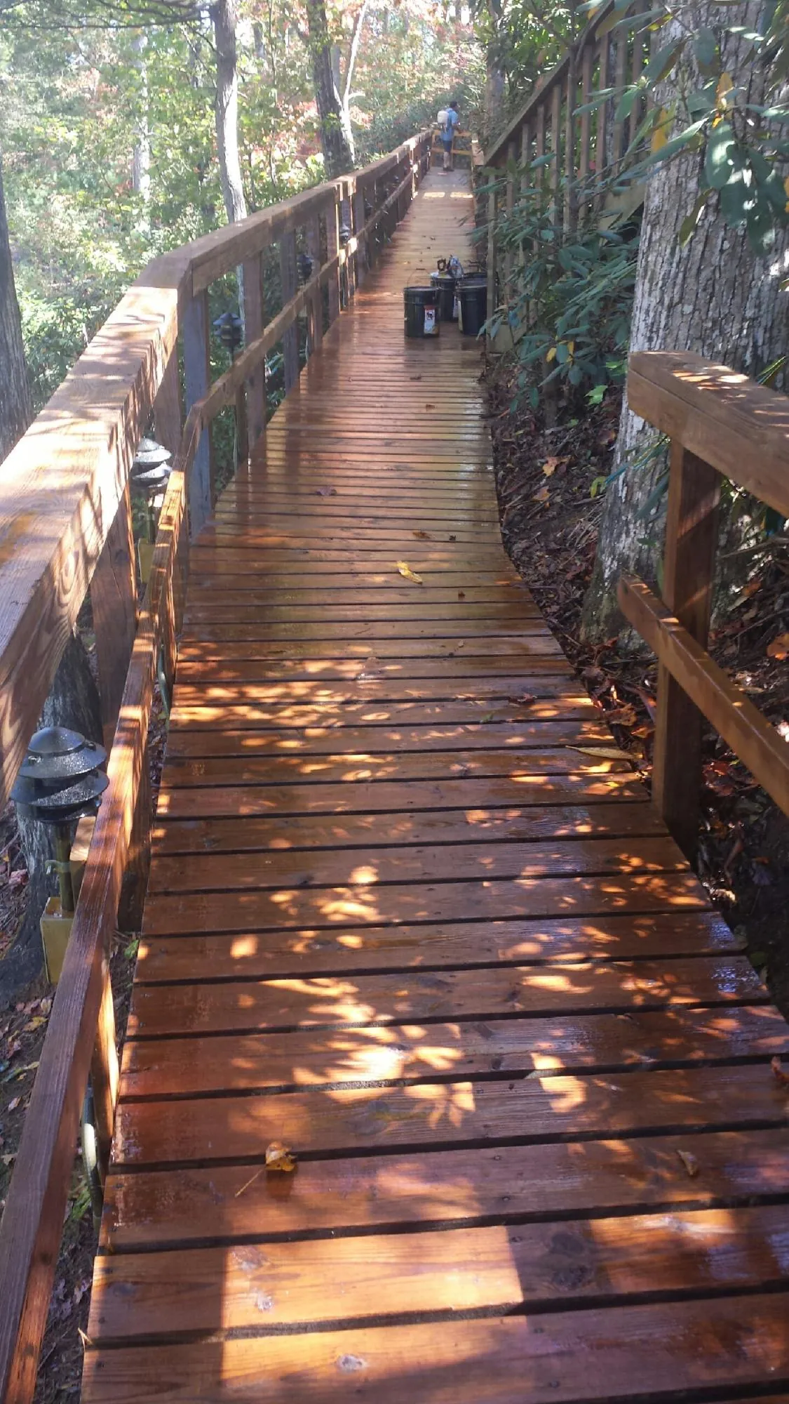 Freshly stained wood walkway winding through the woods in Beaver